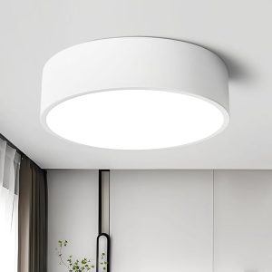 Modern Luminous Halo Ceiling Light